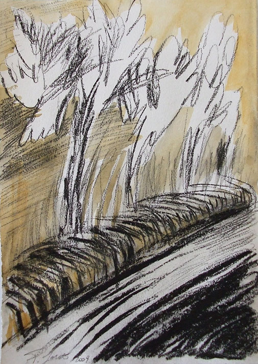 Strada (coll. priv.), carboncino e tempera su carta, cm 17, 5x25, 2009