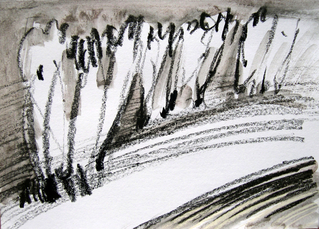 Alberi, Pigmento vegetale e carboncino su carta, cm 21x16, 2010