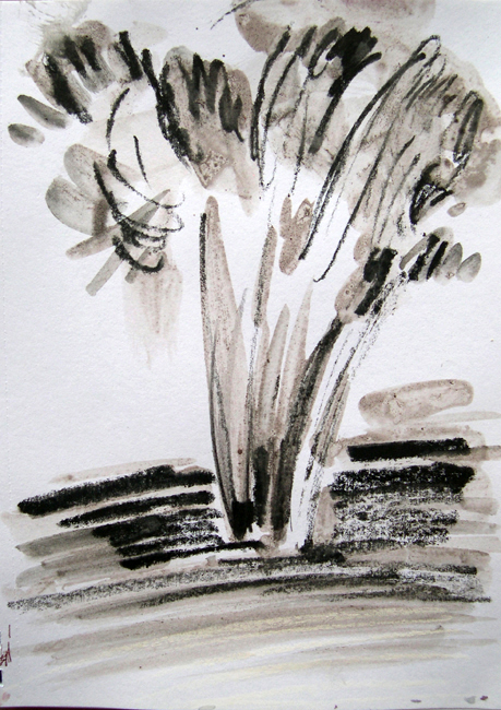 Alberi, Pigmento vegetale e carboncino su carta, cm 16x21, 2010
