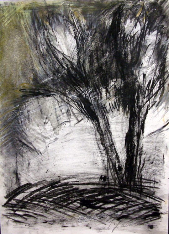 Natura, Carboncino su carta, cm 33x24, 2008