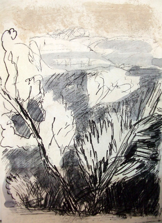 Natura, Carboncino e gouache su carta, cm 33x24, 2008